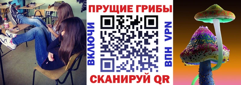 Купить  Няндома  Галлюциногенные грибы прущие грибы 