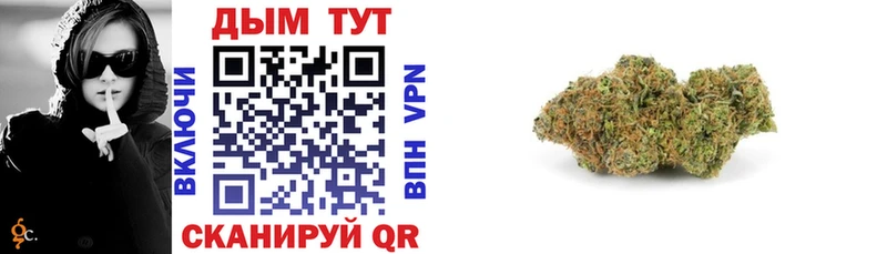 Купить  Няндома  Каннабис планчик 